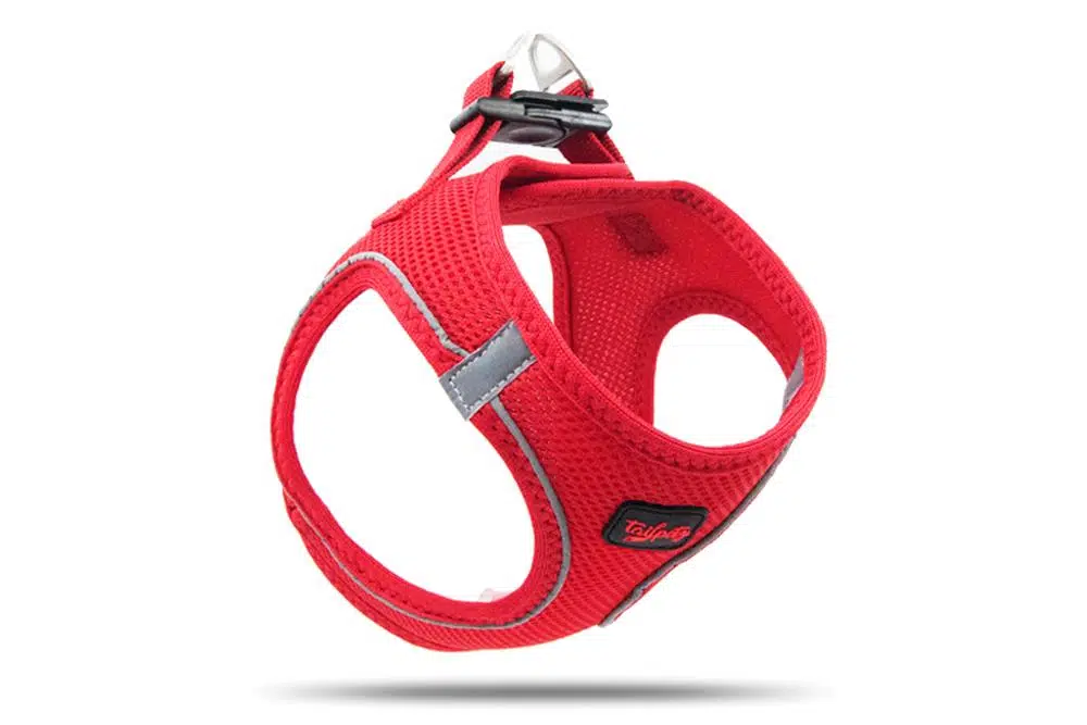 Tailpetz Air Mesh Harness Göğüs Tasması Neon Kırmızı Small
