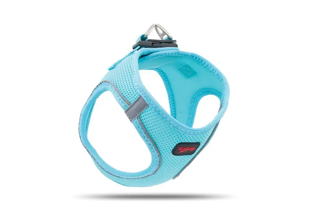 Tailpetz Air Mesh Harness Göğüs Tasması Ocean XSmall